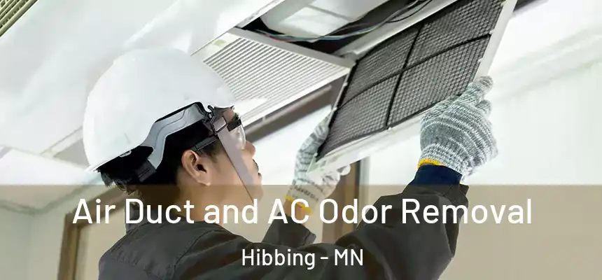  Air Duct and AC Odor Removal Hibbing - MN