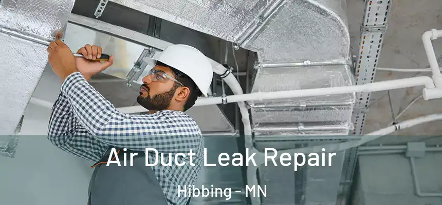  Air Duct Leak Repair Hibbing - MN