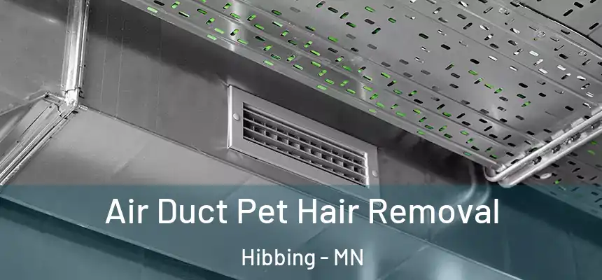  Air Duct Pet Hair Removal Hibbing - MN