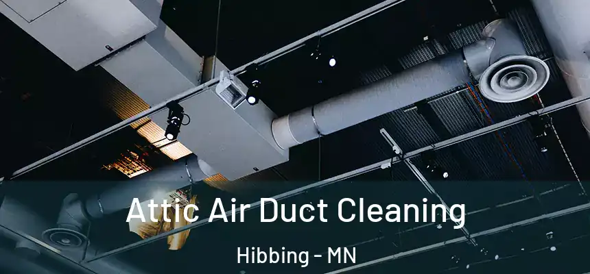  Attic Air Duct Cleaning Hibbing - MN