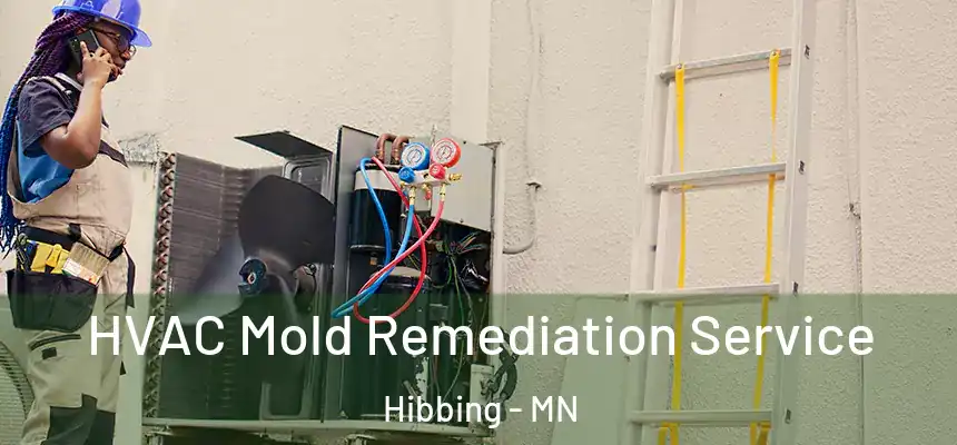 HVAC Mold Remediation Service Hibbing - MN