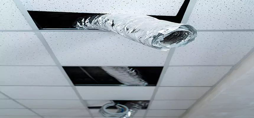 Affordable HVAC Sanitizing After Pest Removal in Hibbing