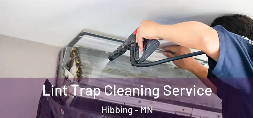 Lint Trap Cleaning Service Hibbing - MN