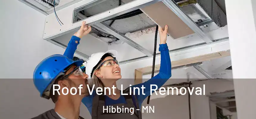  Roof Vent Lint Removal Hibbing - MN