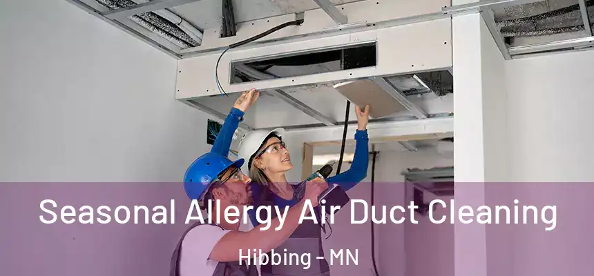 Seasonal Allergy Air Duct Cleaning Hibbing - MN