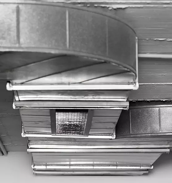 Professional Air Duct Pet Hair Removal in Hibbing, MN