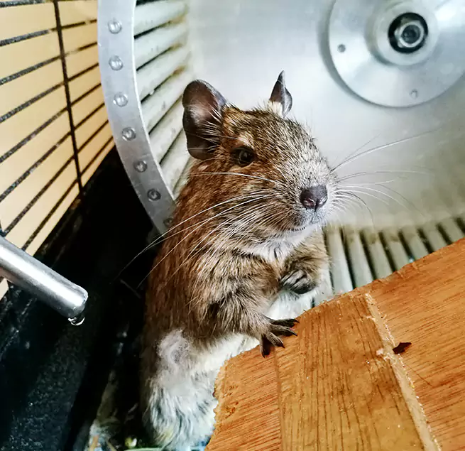 Why Homeowners & Businesses Trust Us Hibbing, MN